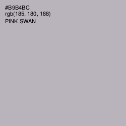 #B9B4BC - Pink Swan Color Image